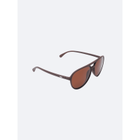 TBD - Falcon - Forest